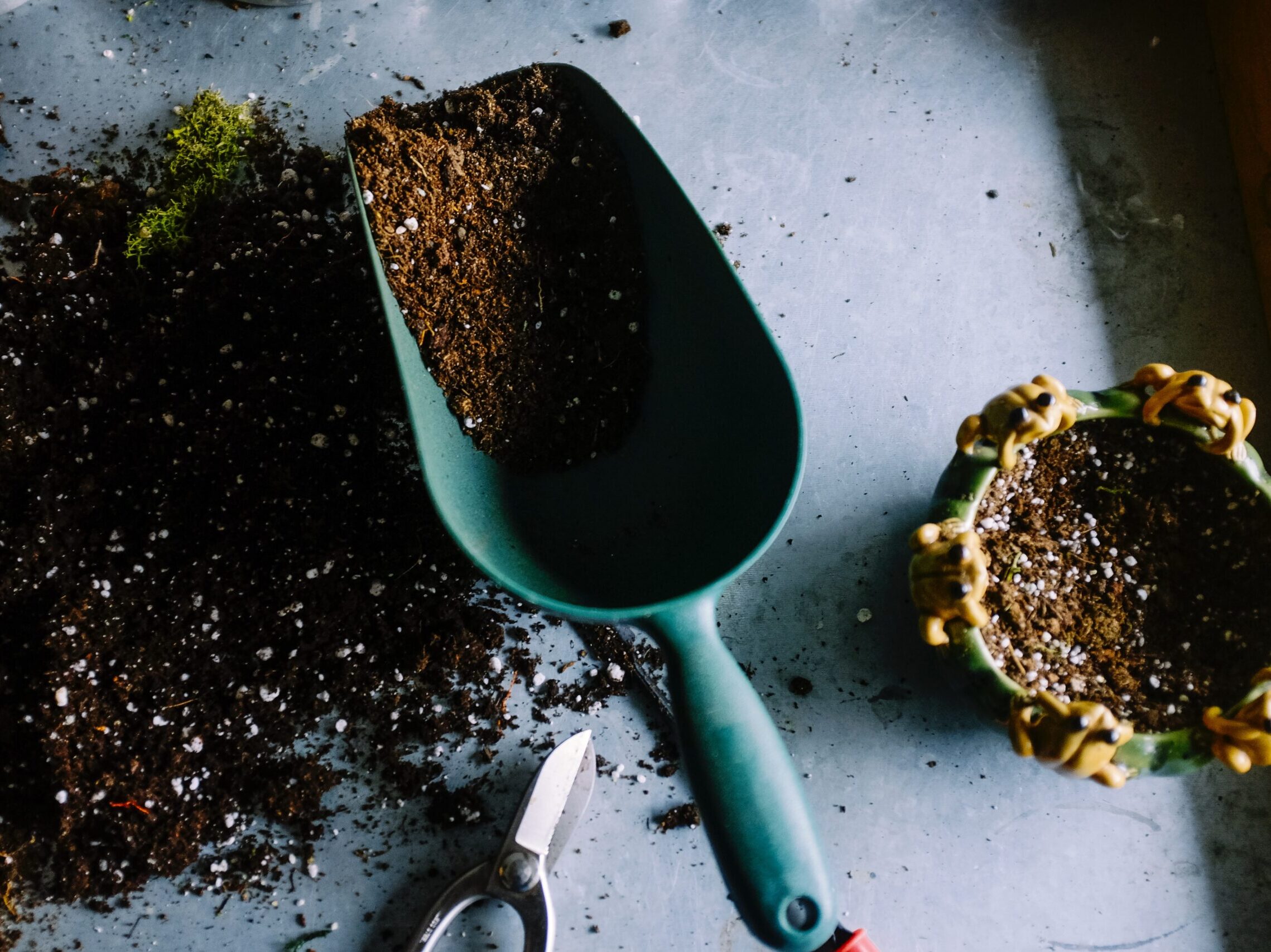 green metal garden shovel filled with brown soil