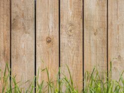 green grass beside brown wooden fence