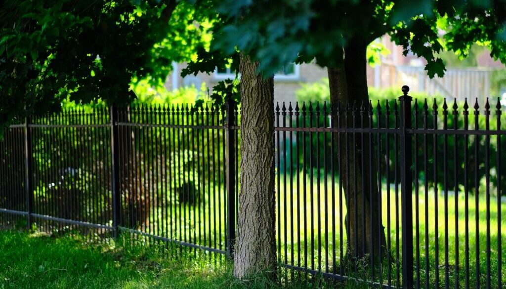 black metal fence near green trees during daytime